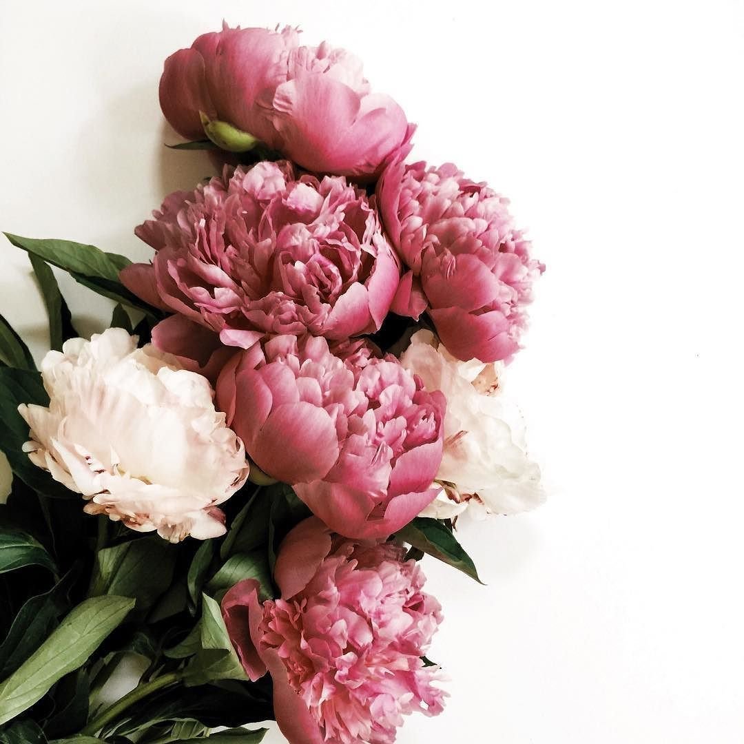 Пион Инновейшен