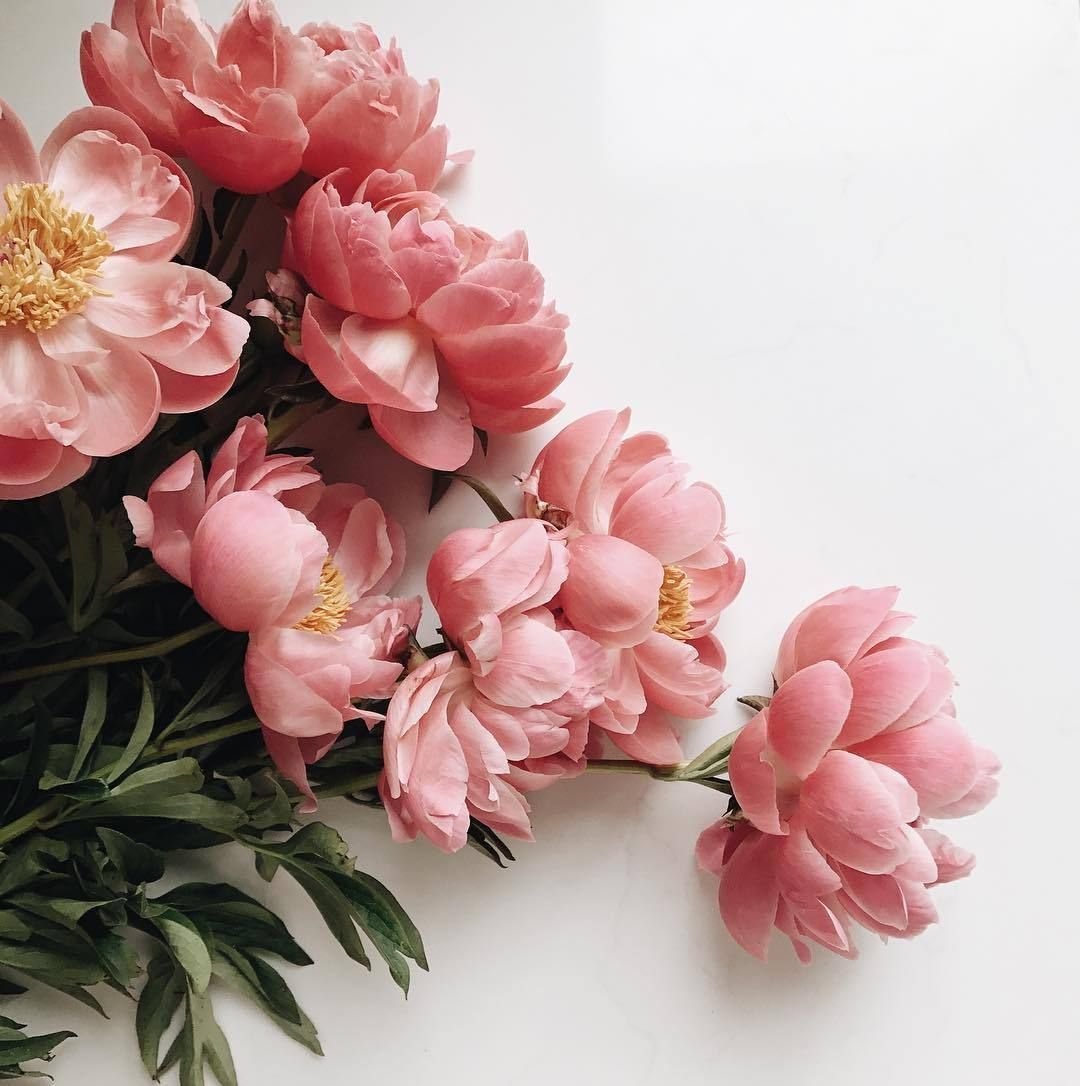 Цветок "пион"