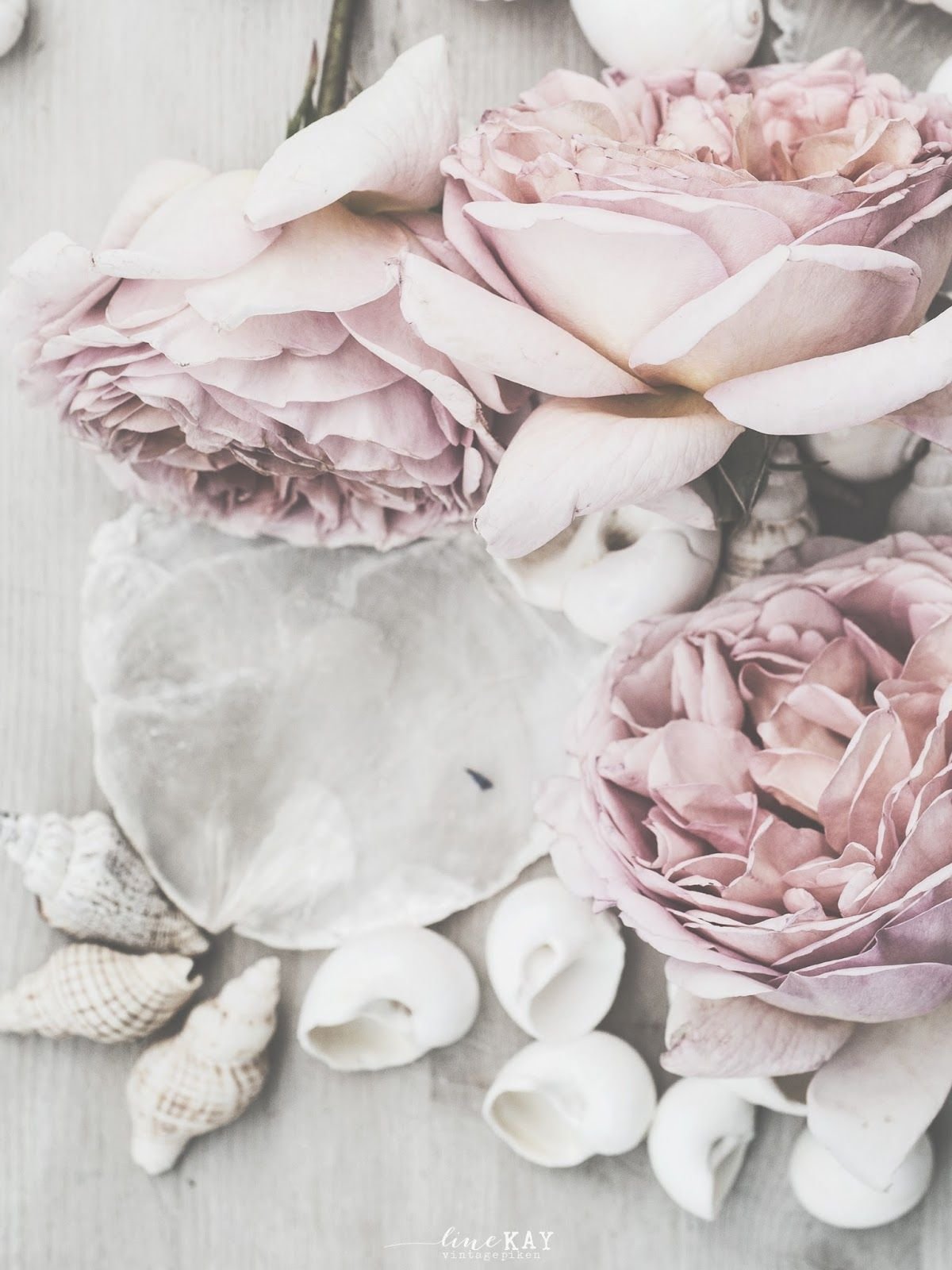 Фотофон в пастельных тонах