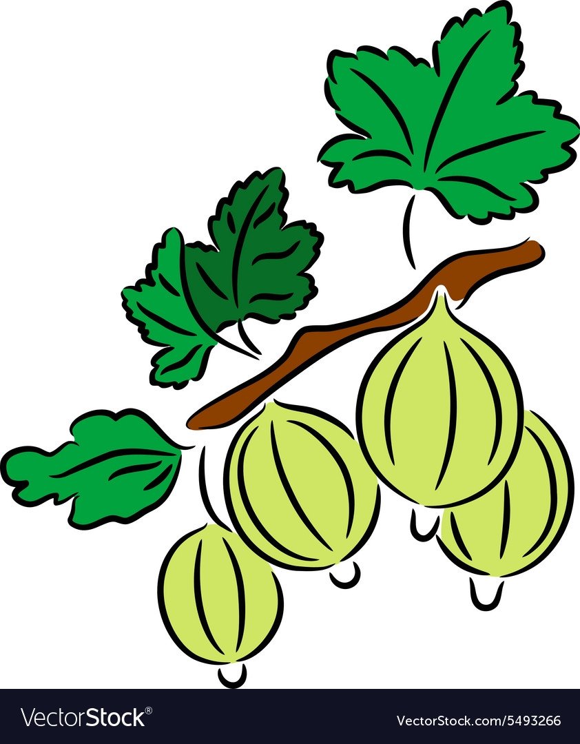 Крыжовник мультяшная