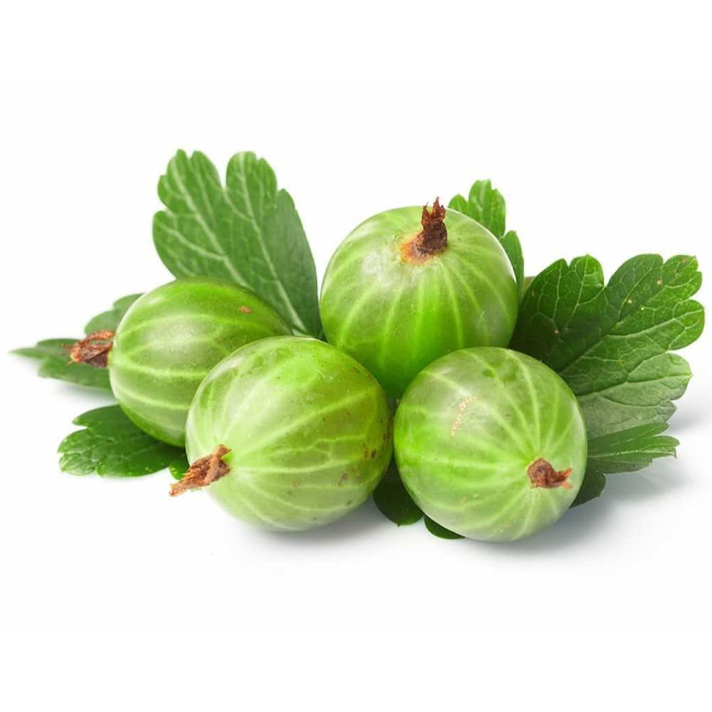 Крыжовник картинка для детей