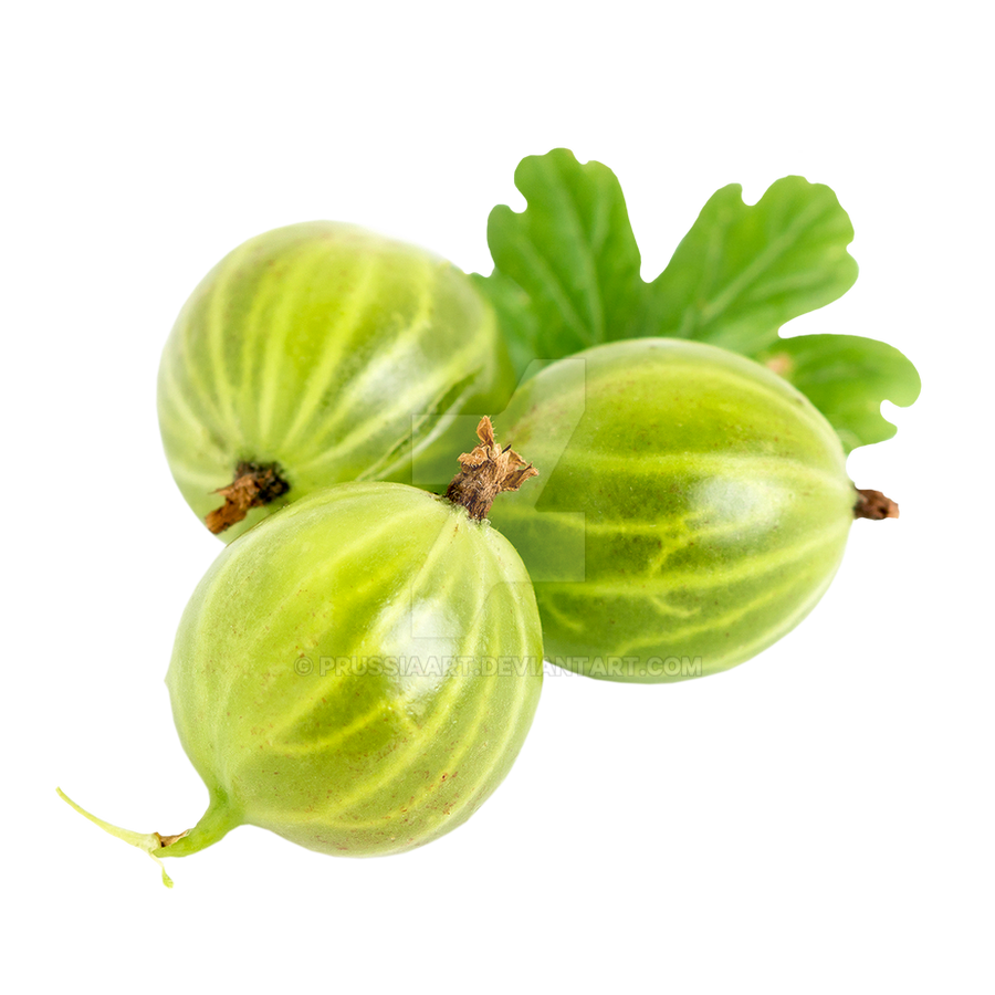 Крыжовник стилизованный