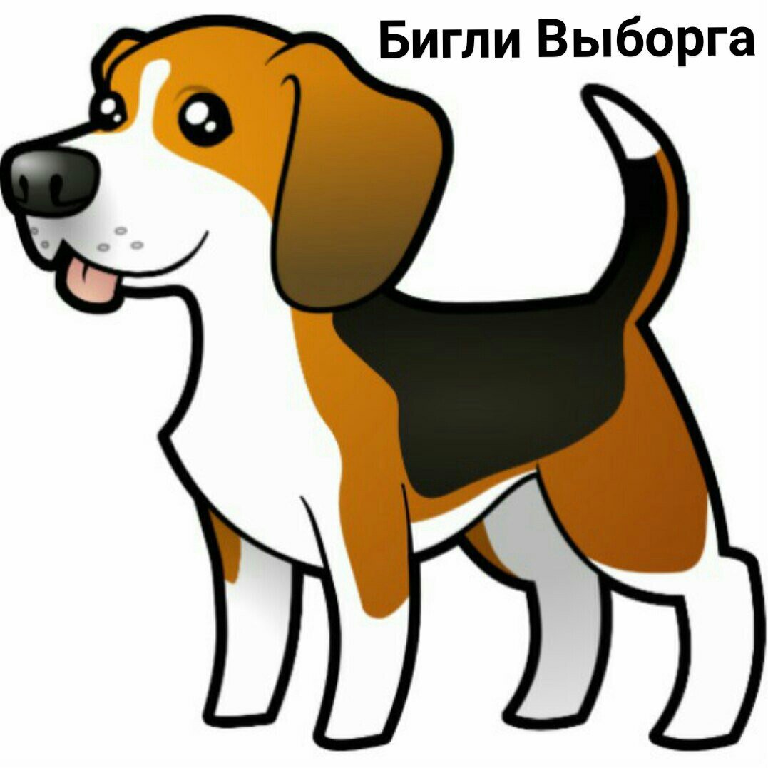 Собака Бигль вектор