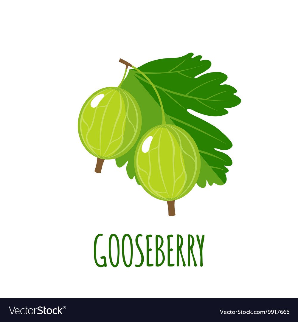 Крыжовник мультяшный