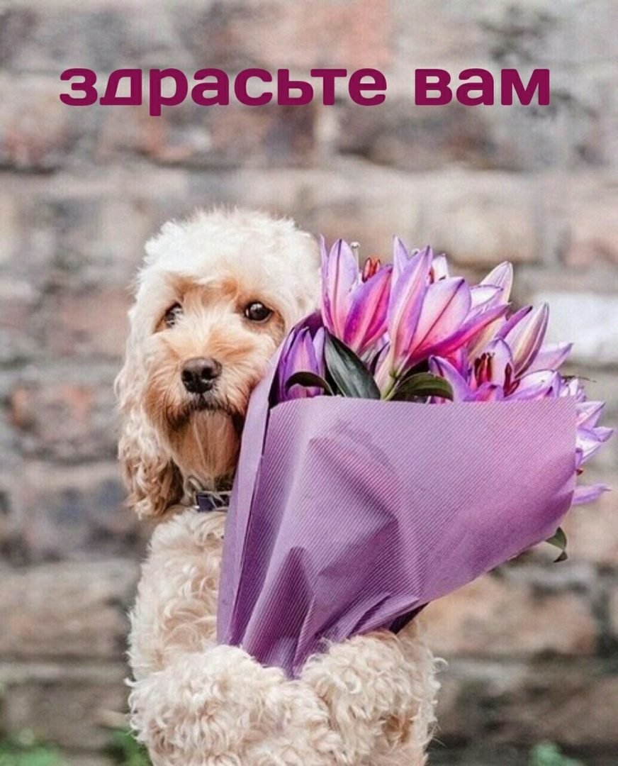 Здрасьте вам доброго утра