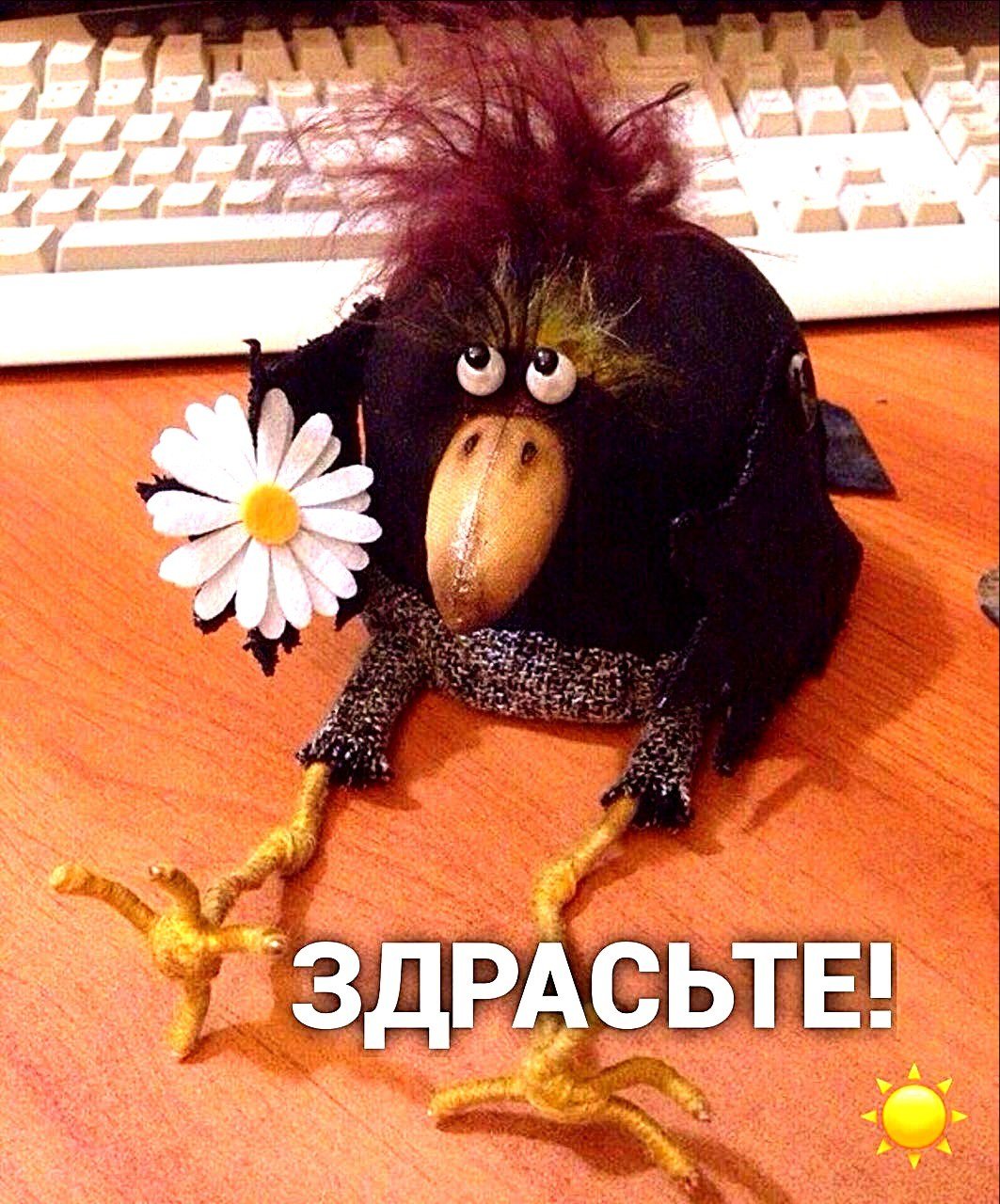 Смешное Приветствие