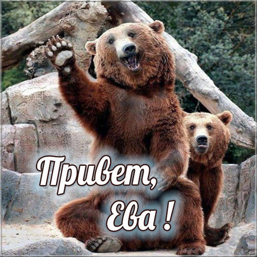 Привет Стас