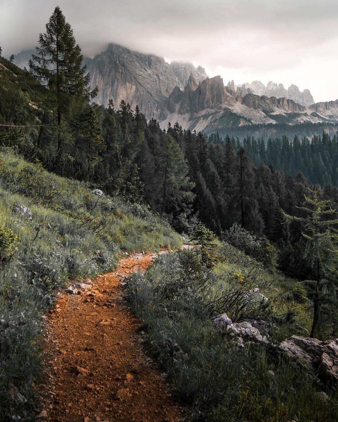 Природа без гор