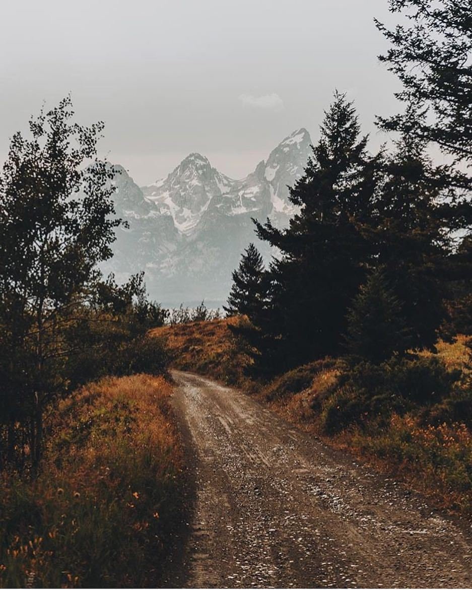 Природа России Эстетика