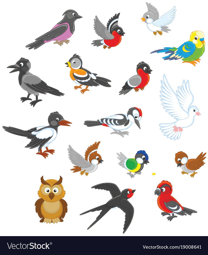 Птицы в мультяшном стиле