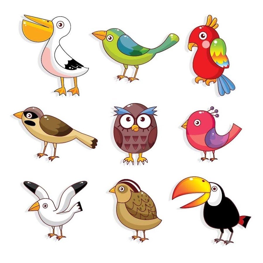 Много птиц на белом фоне