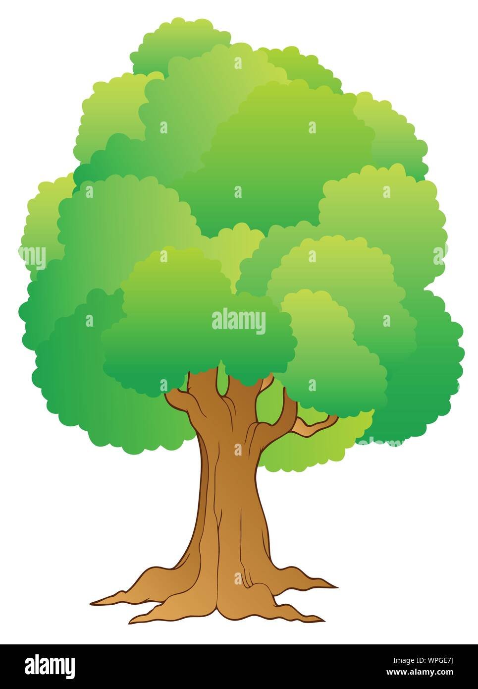 Дерево Грин скрин