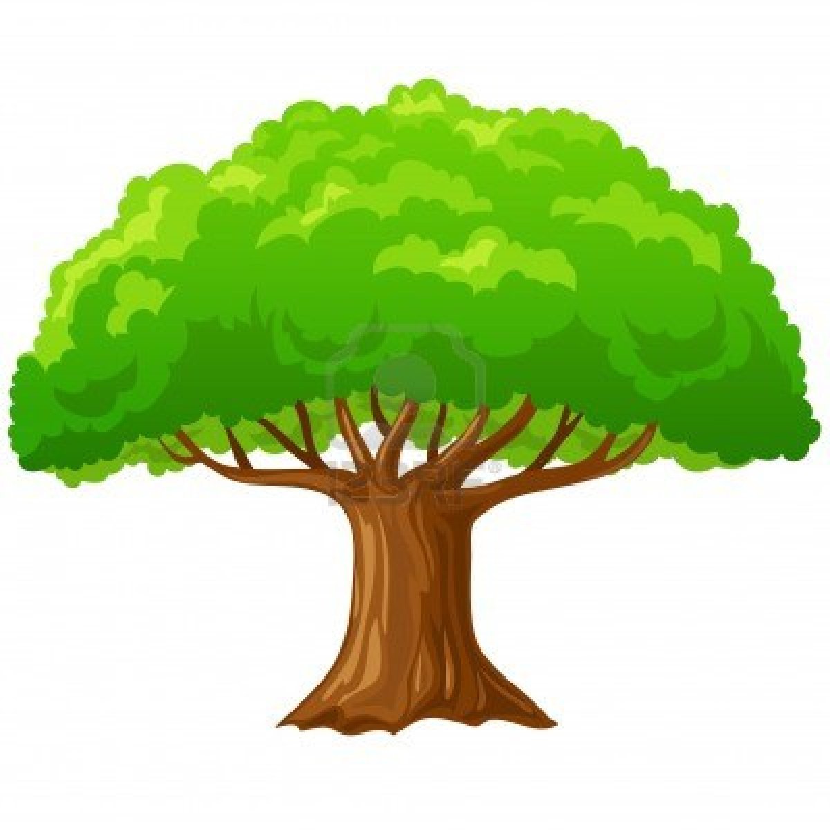 Родословное дерево без окошек