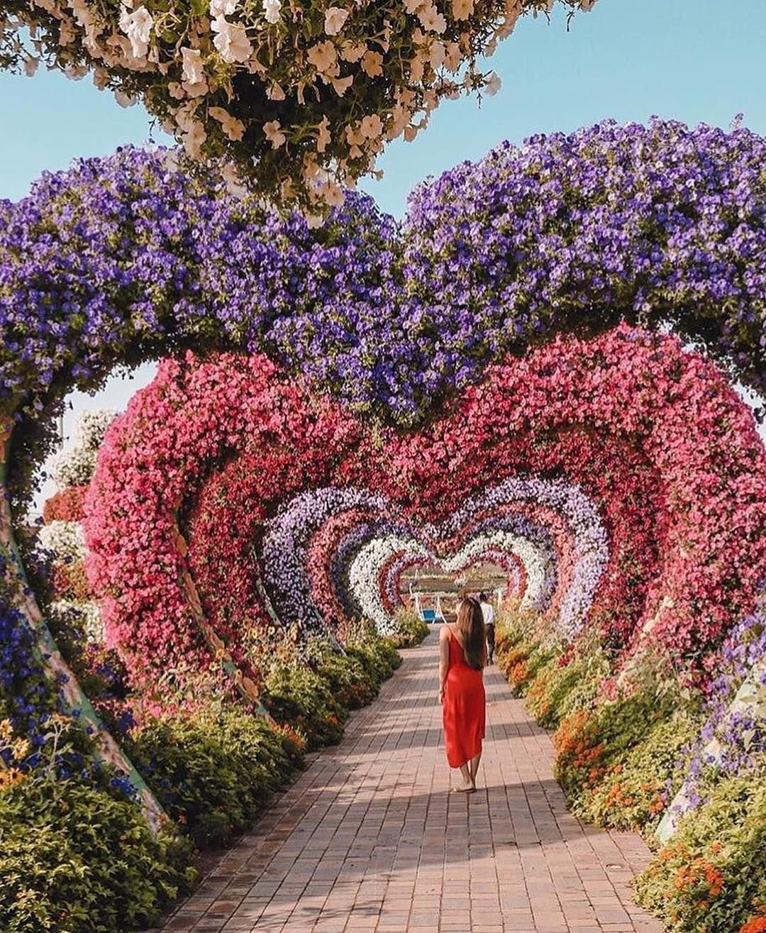 Миракл Гарден Дубай