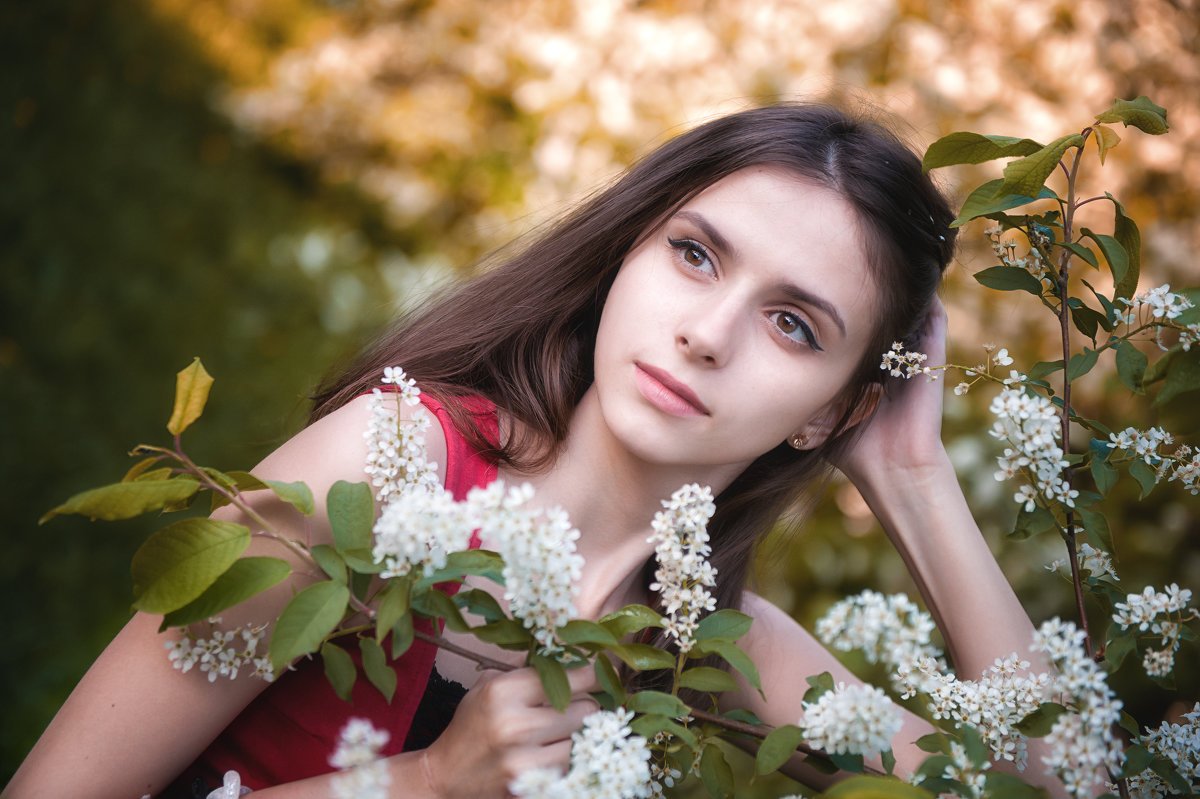 Фотосет с черемухой