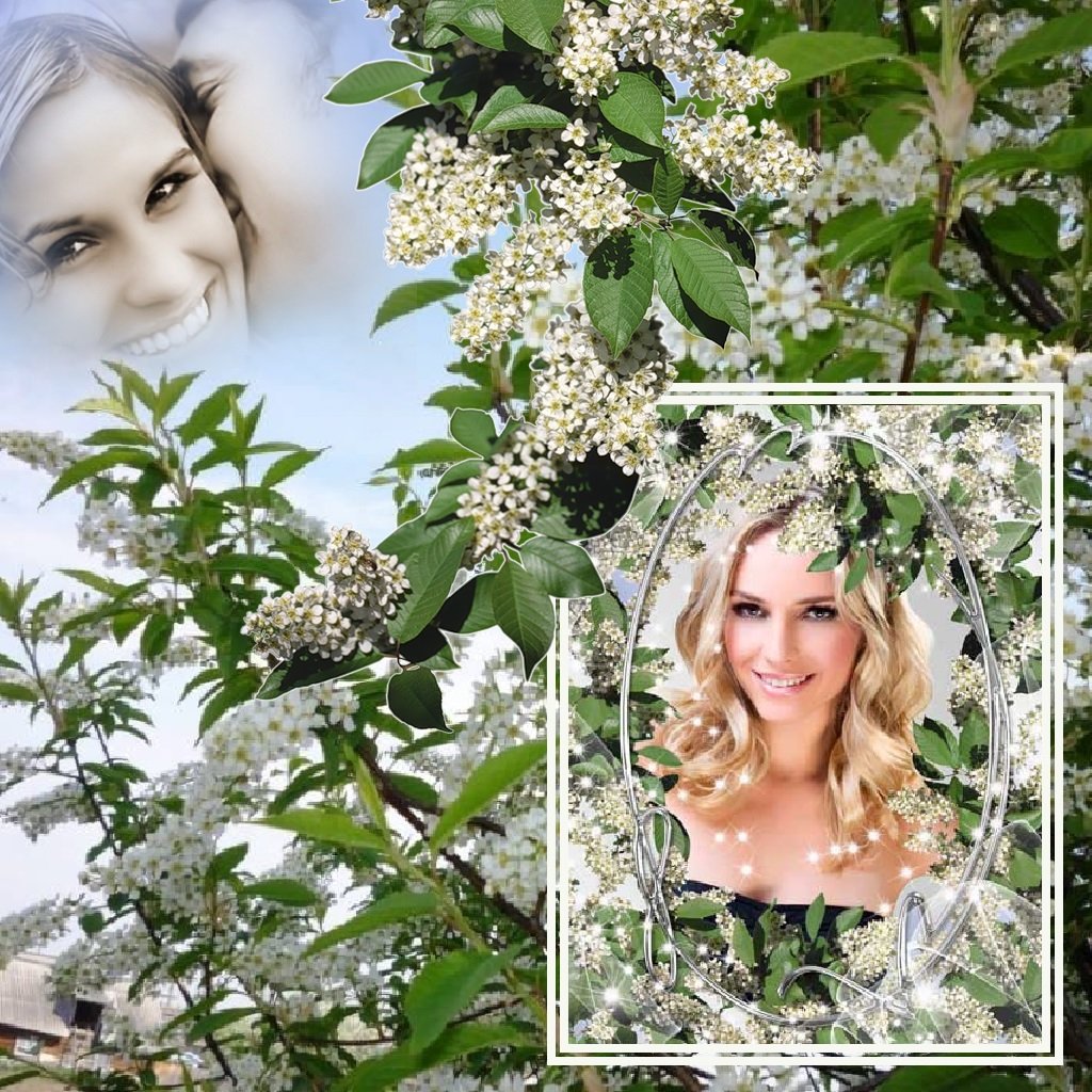 Анна Герман черемухи цвет