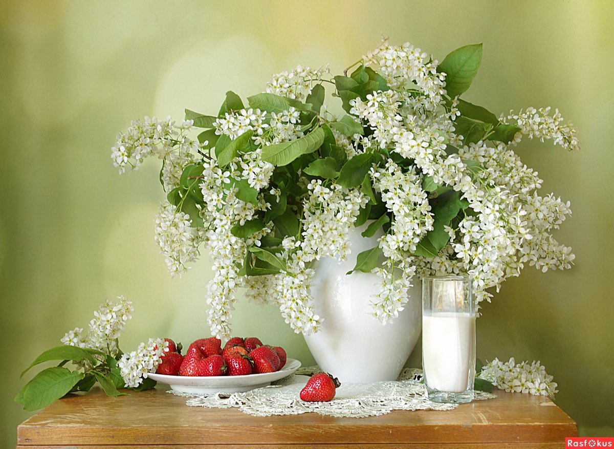 Сирень Ландыши черемуха