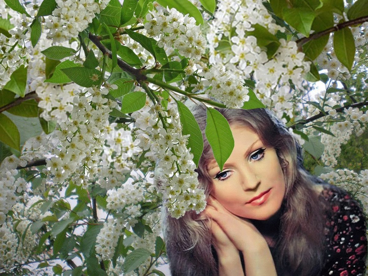 Красивые девушки на фоне природы