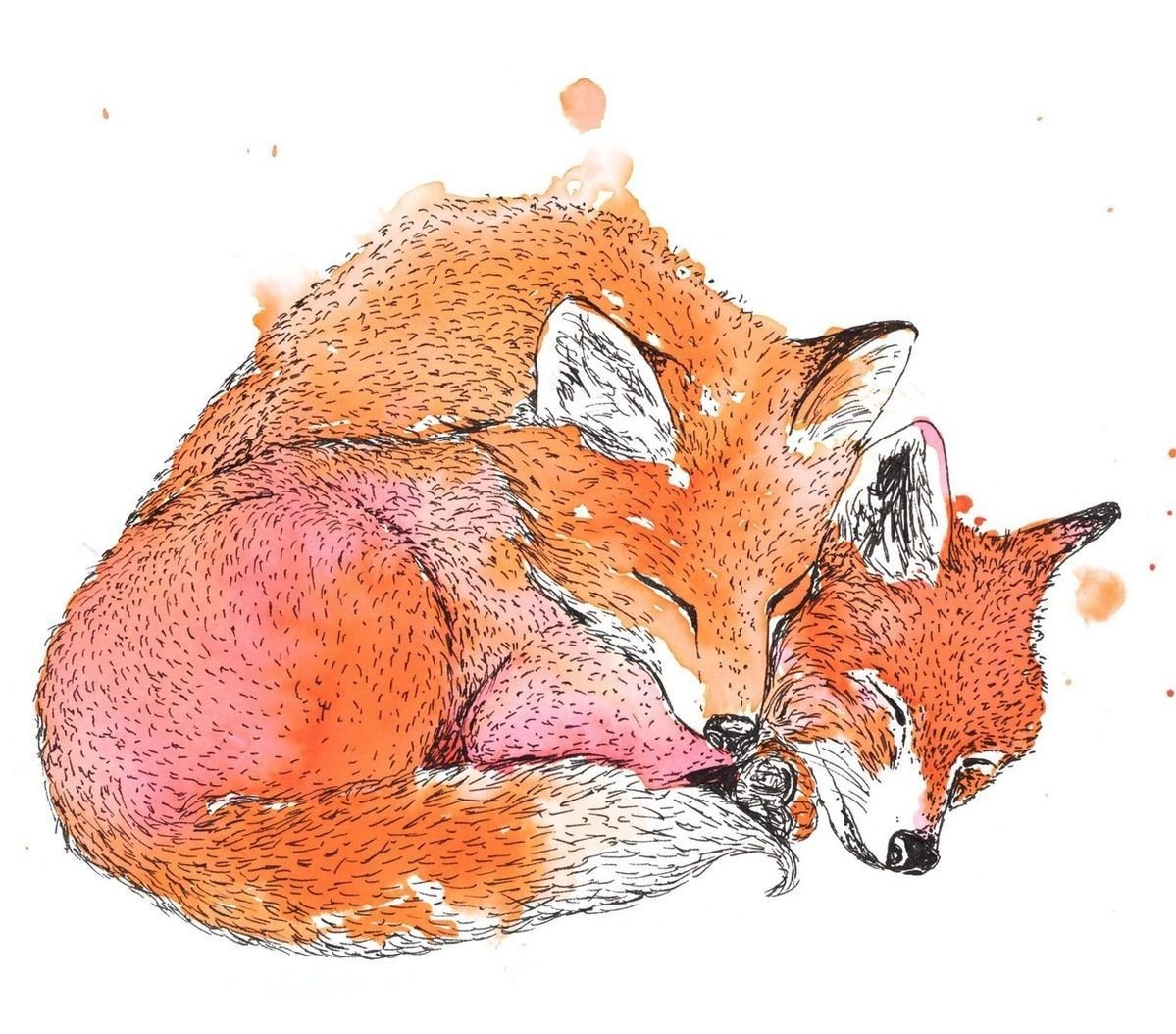 Лиса рисунок