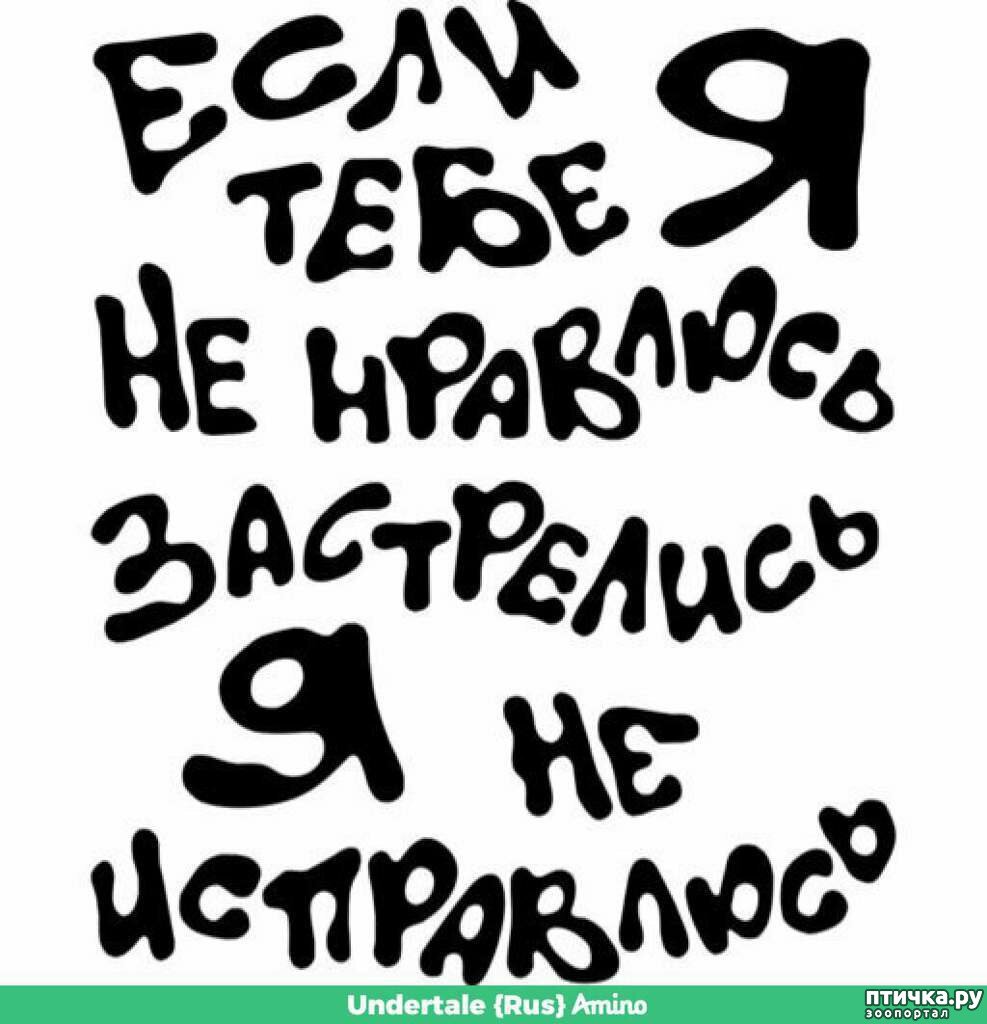 Крутые надписи