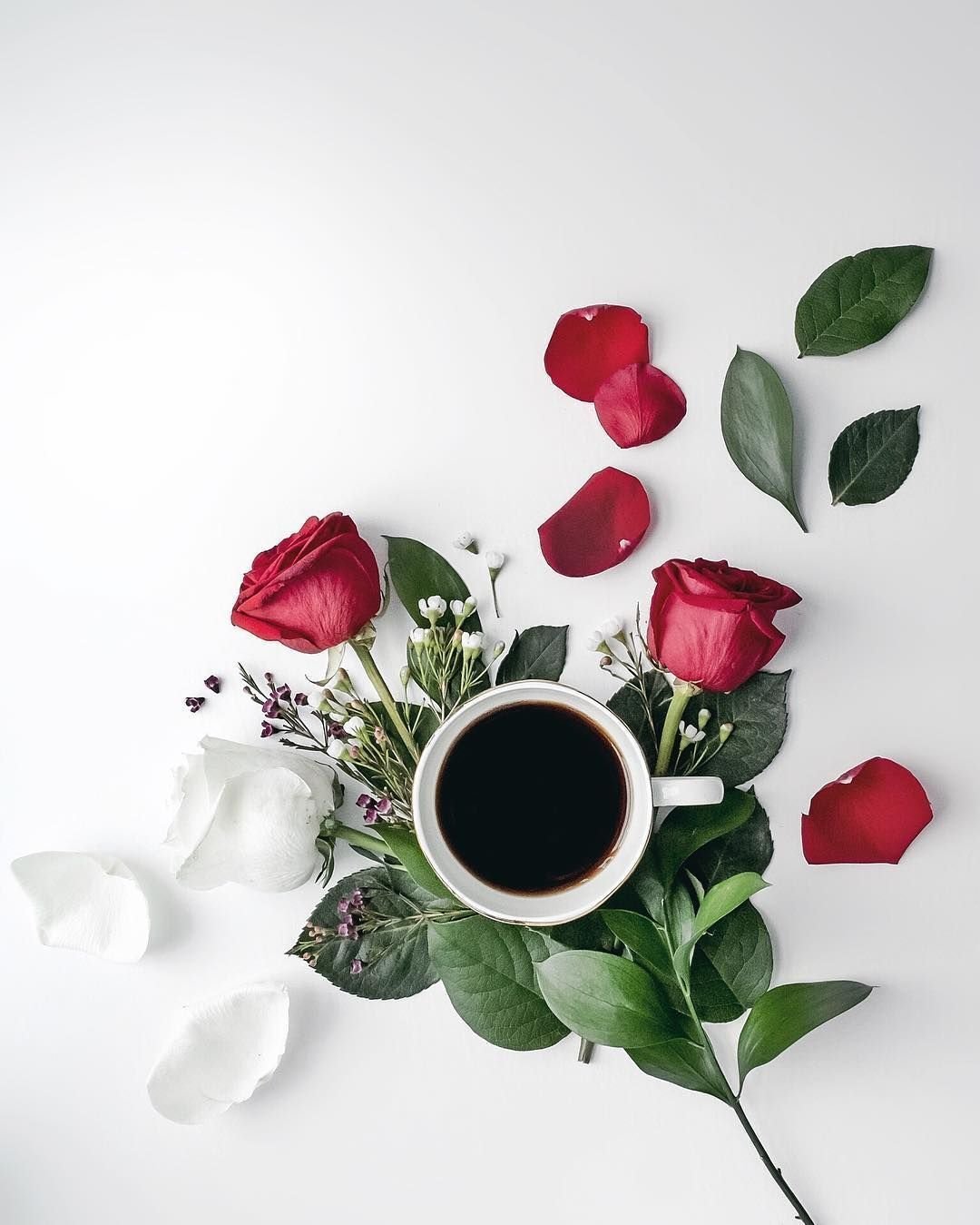 Доброе утро Минимализм цветы