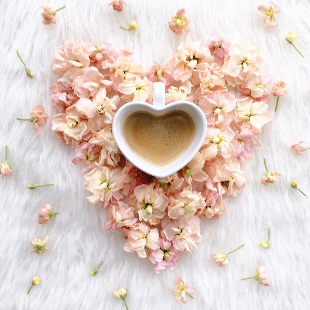 Утро любовь цветы