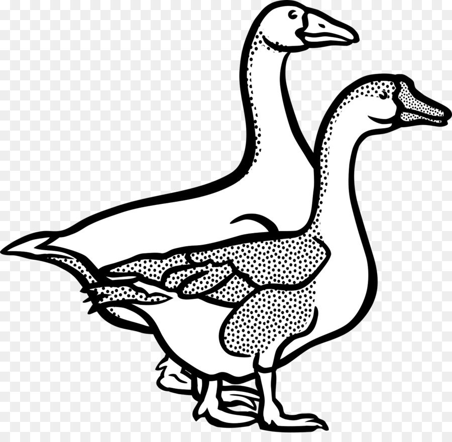 Гусь раскраска для детей