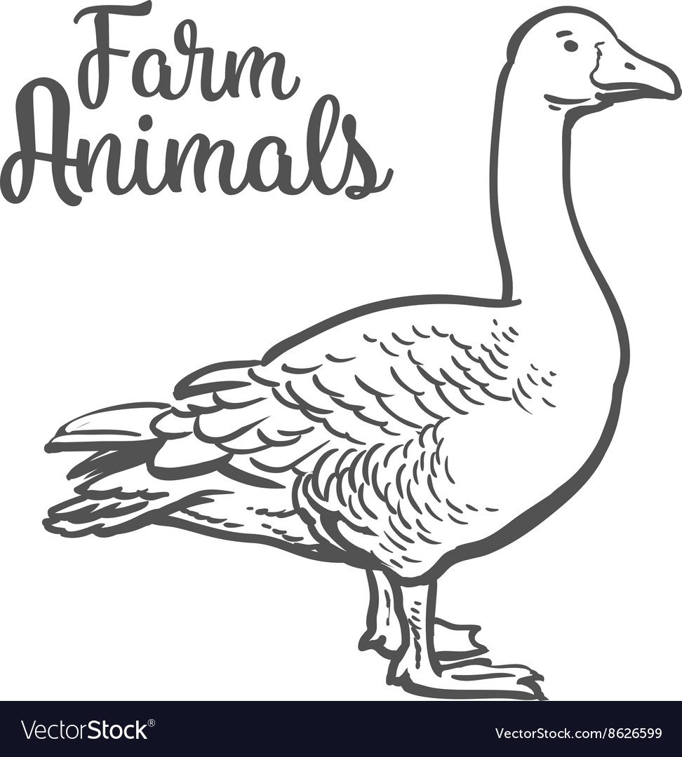 Фермерский Гусь на белом фоне