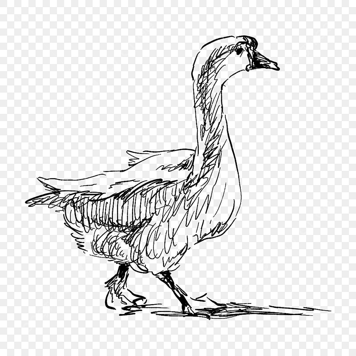 Гусь Советский рисунок