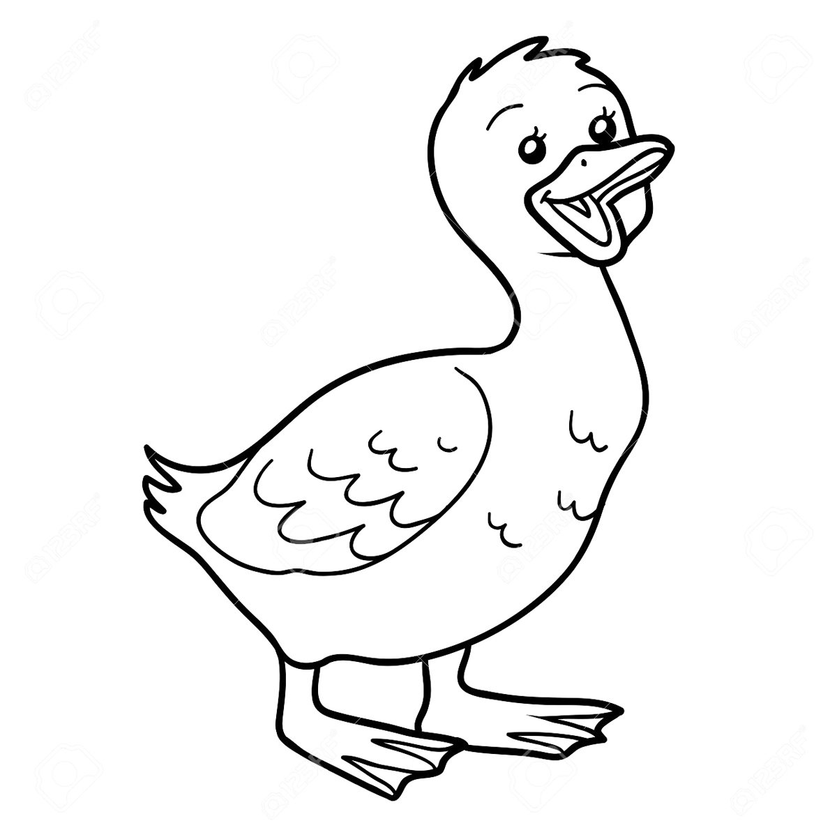 Гусенок раскраска для детей