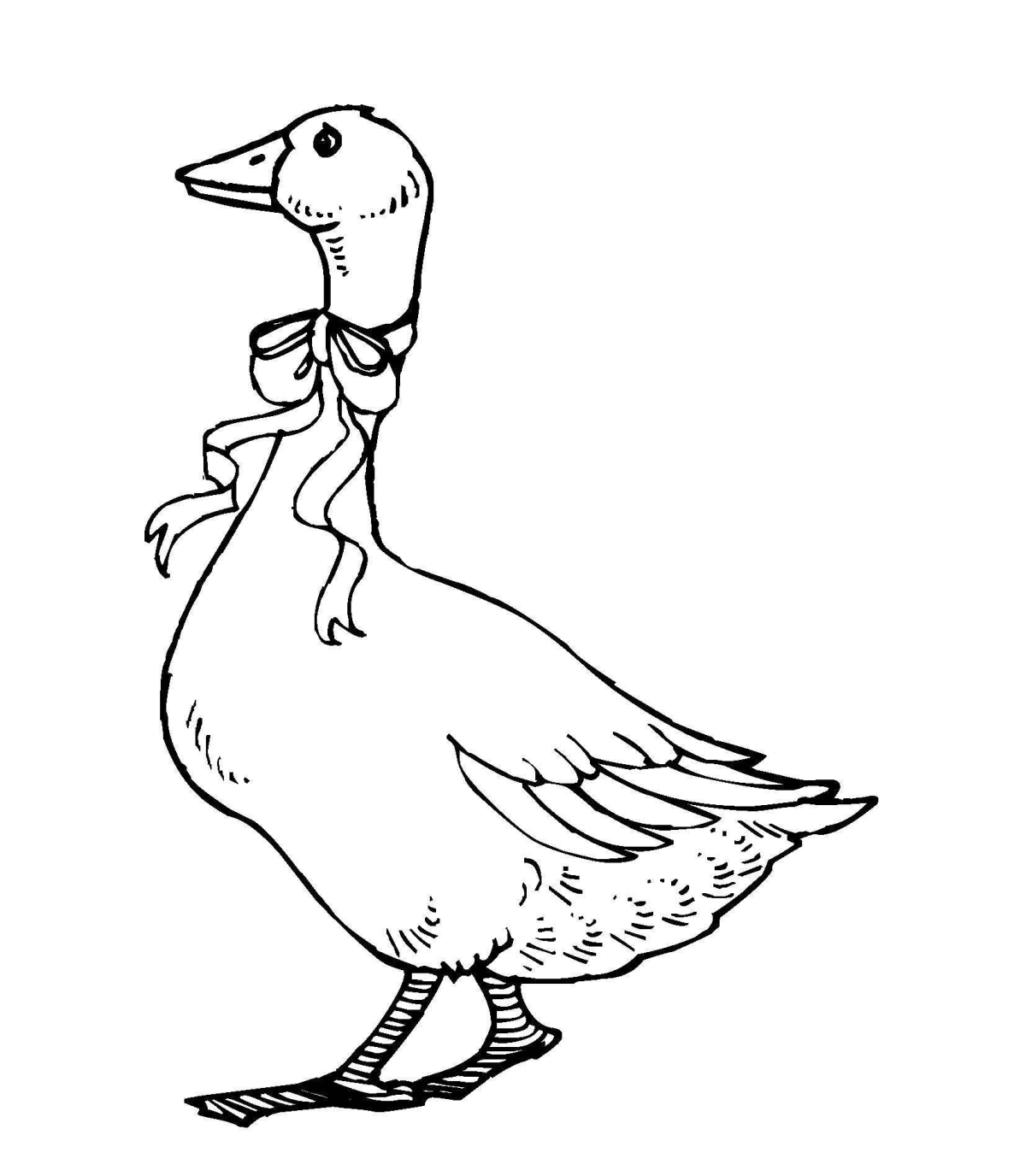 Гусь раскраска цветная