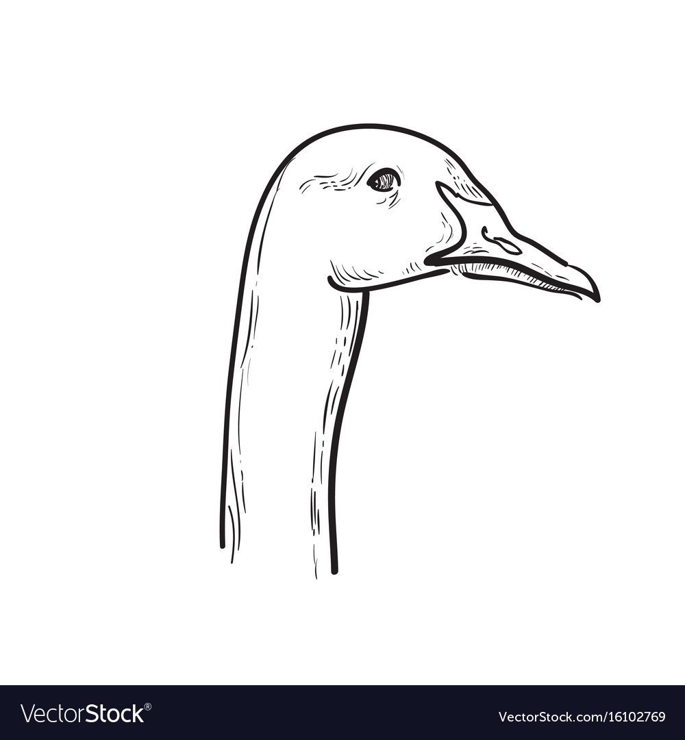 Гусь тату эскиз