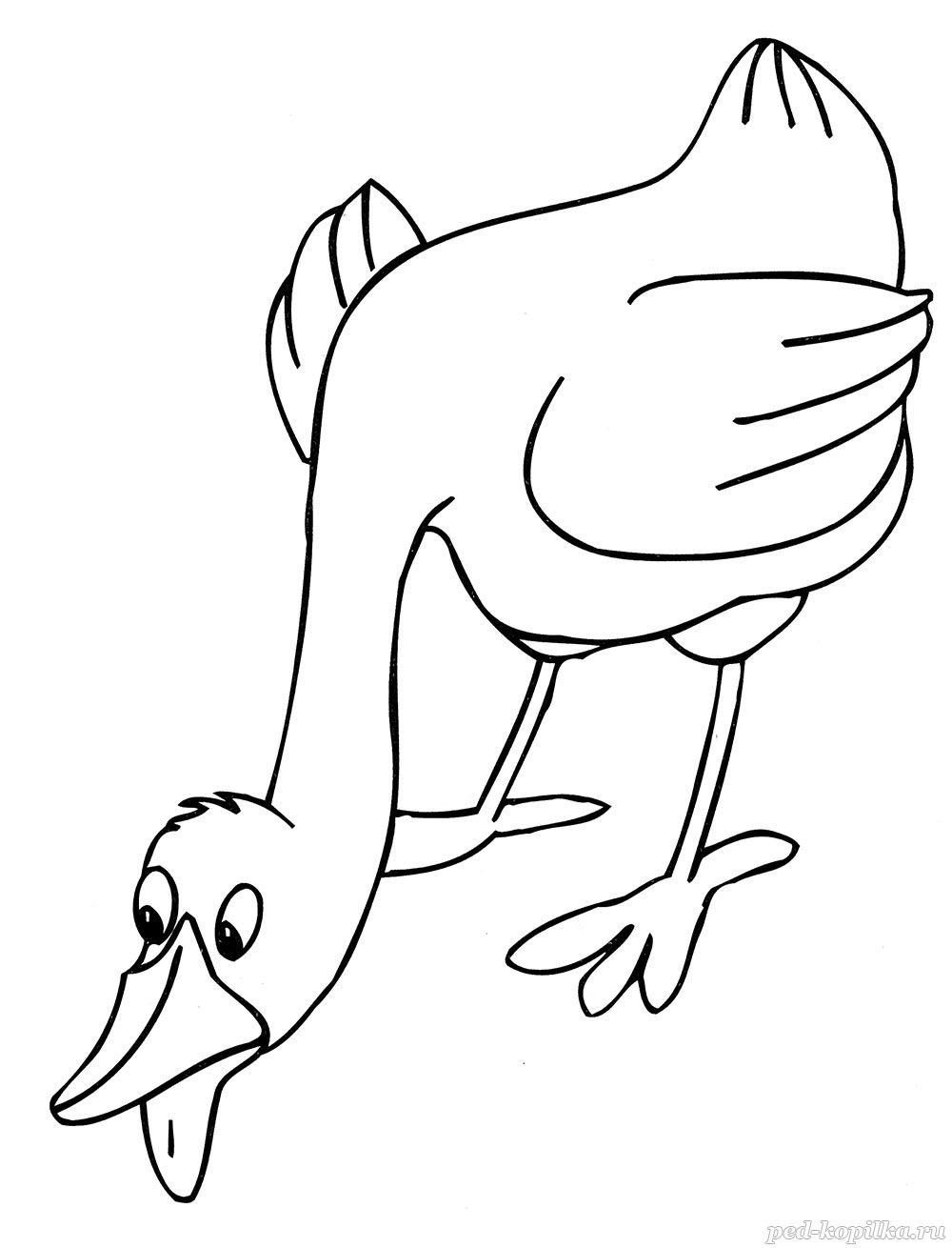 Раскраска Гусь для детей 6-7 лет