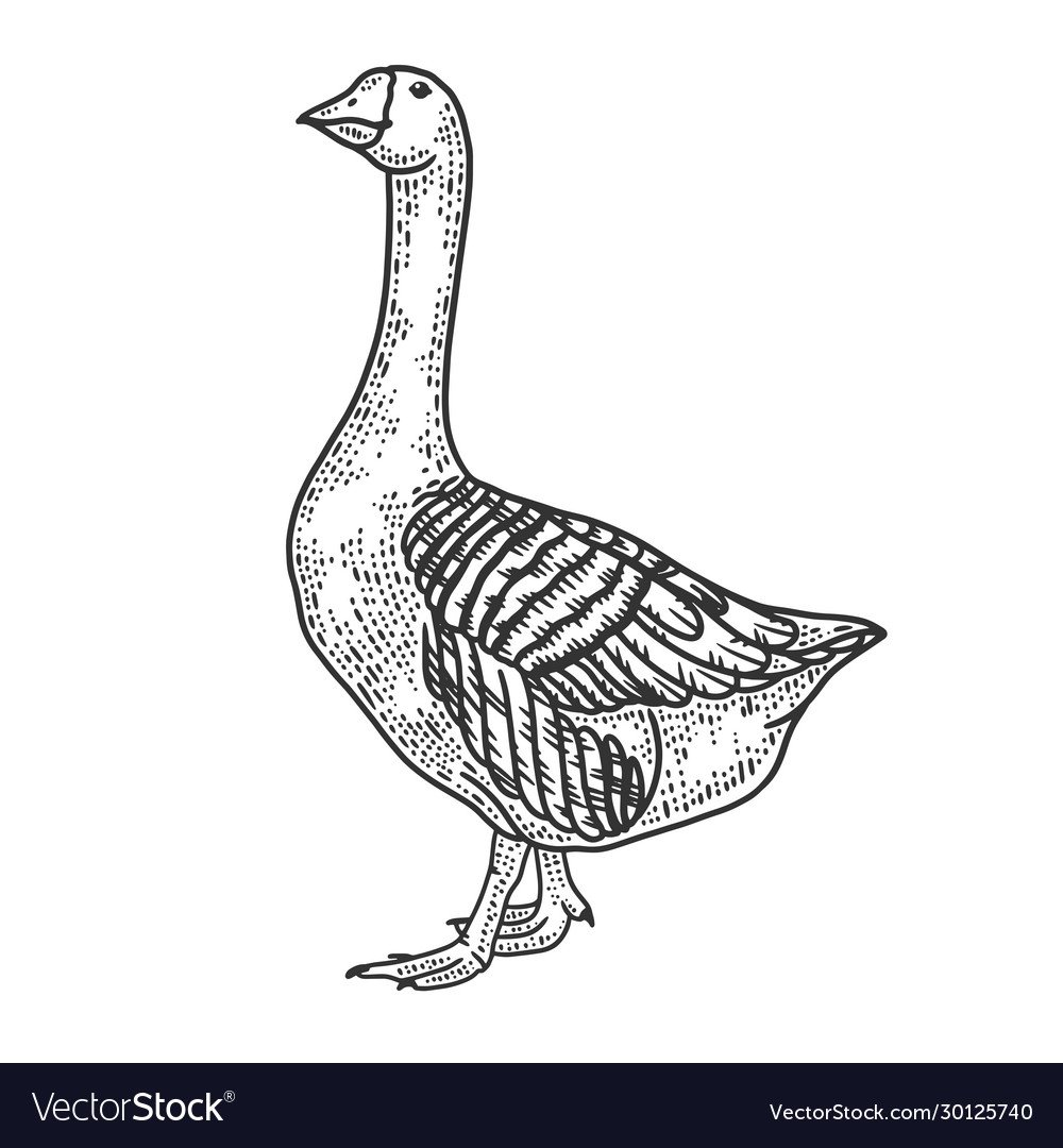 Гусь на белом фоне черно-белый рисунок