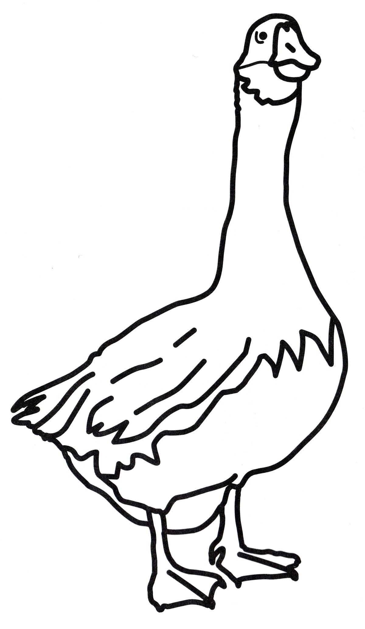 Гусь раскраска для детей