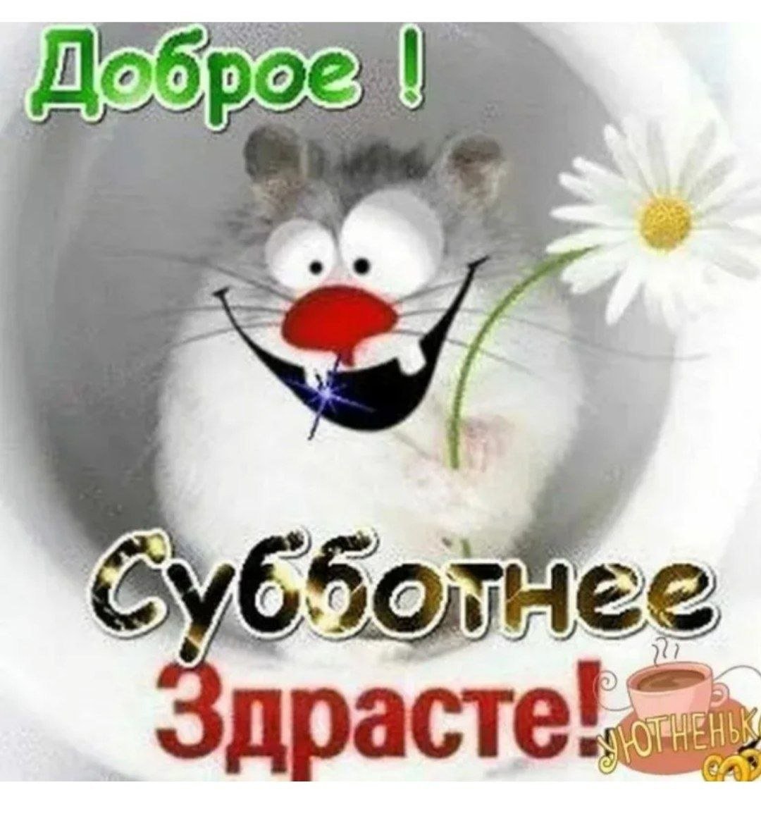 Всем здрасте