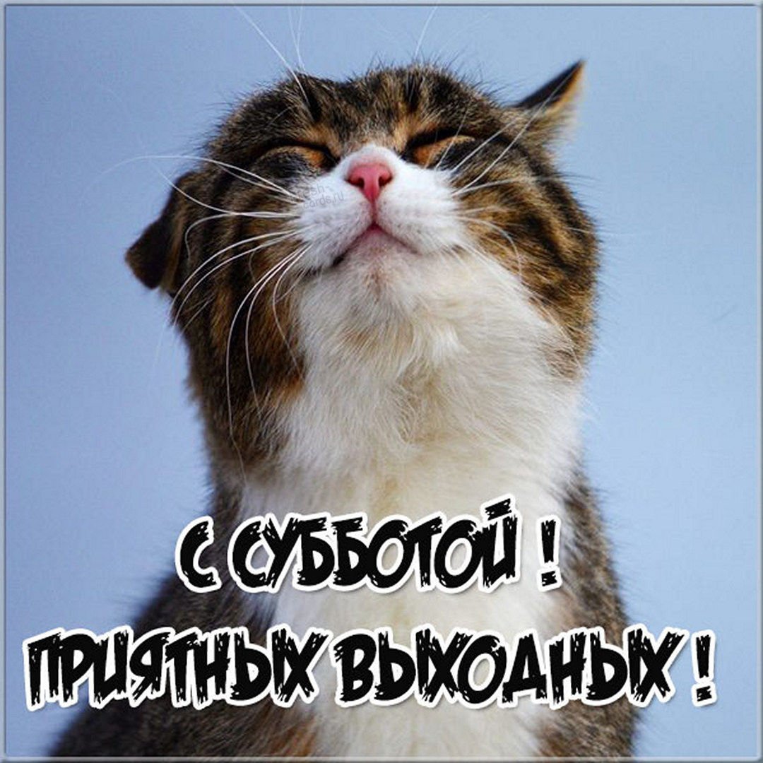 Воскресенье приколы