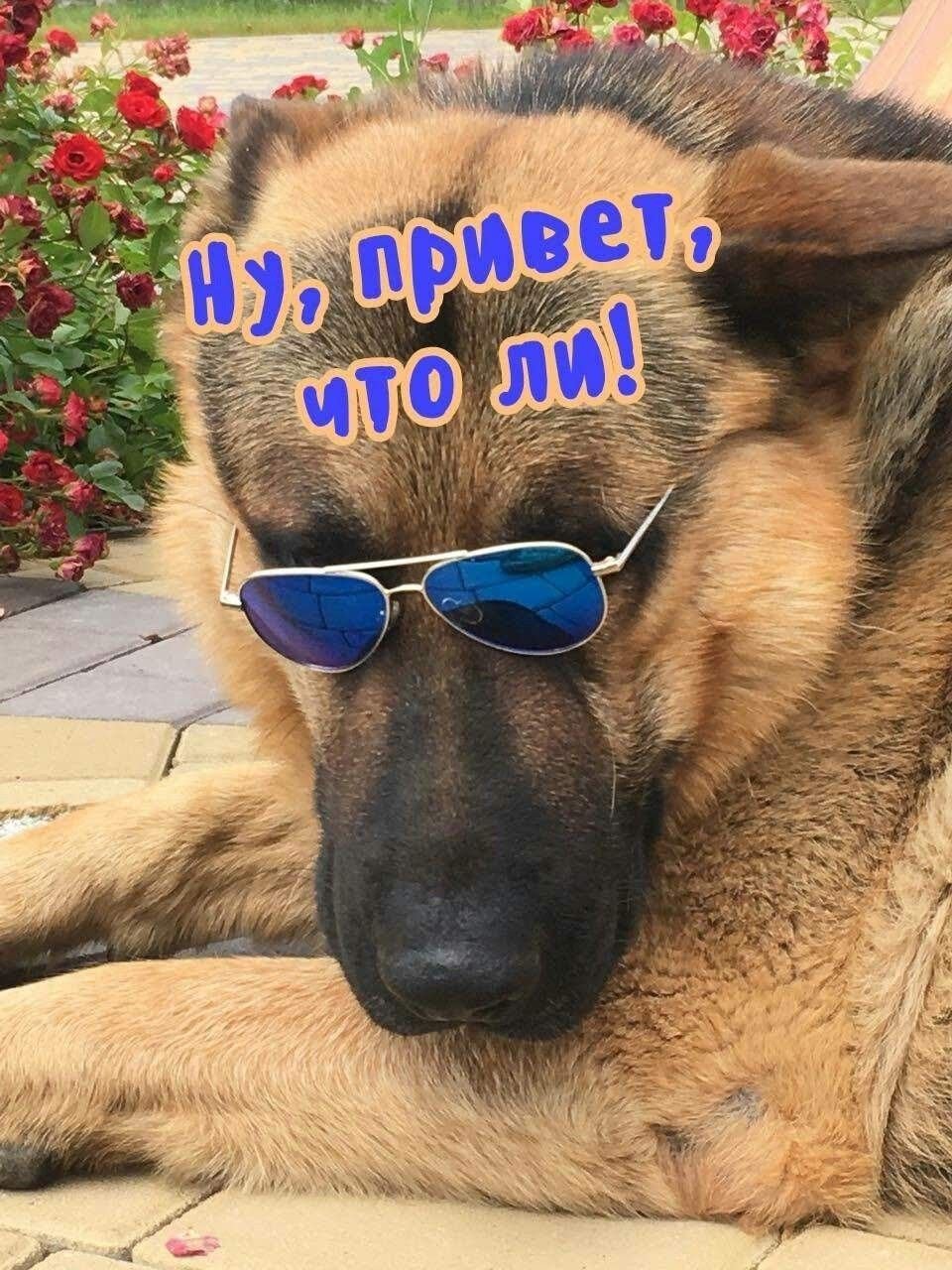 Приветствия прикольные субботние