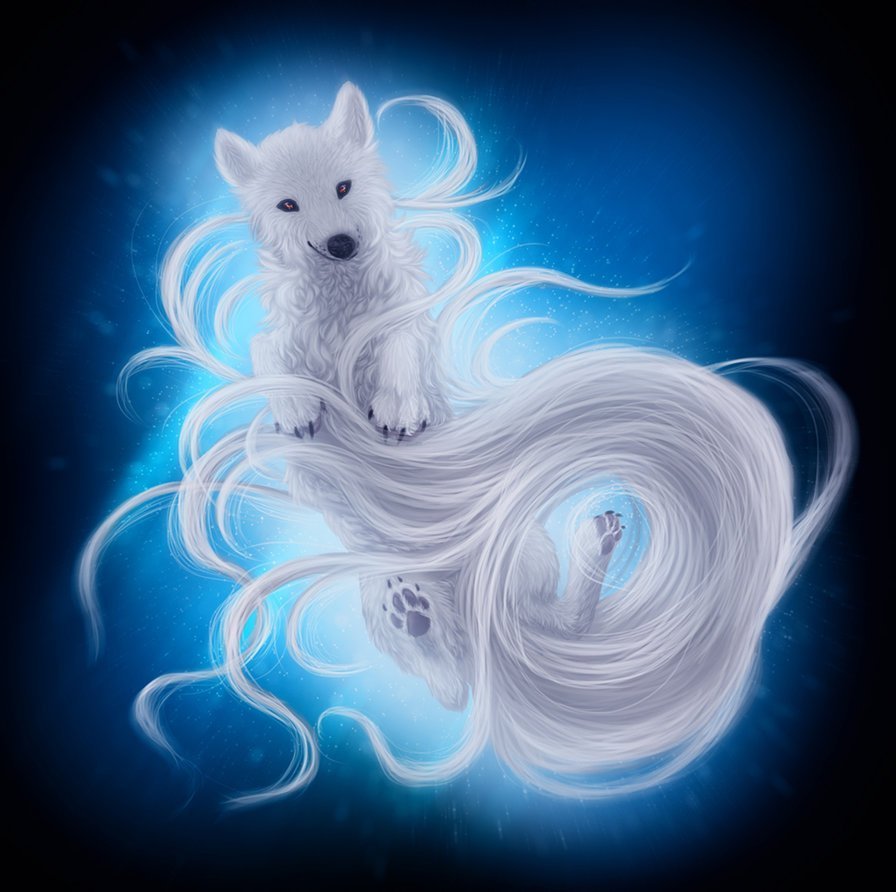 Магические собаки