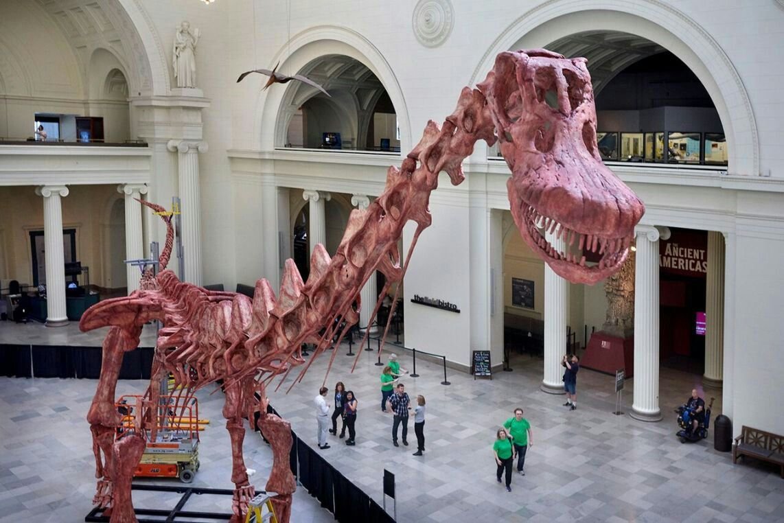 Музей динозавров Сычуань