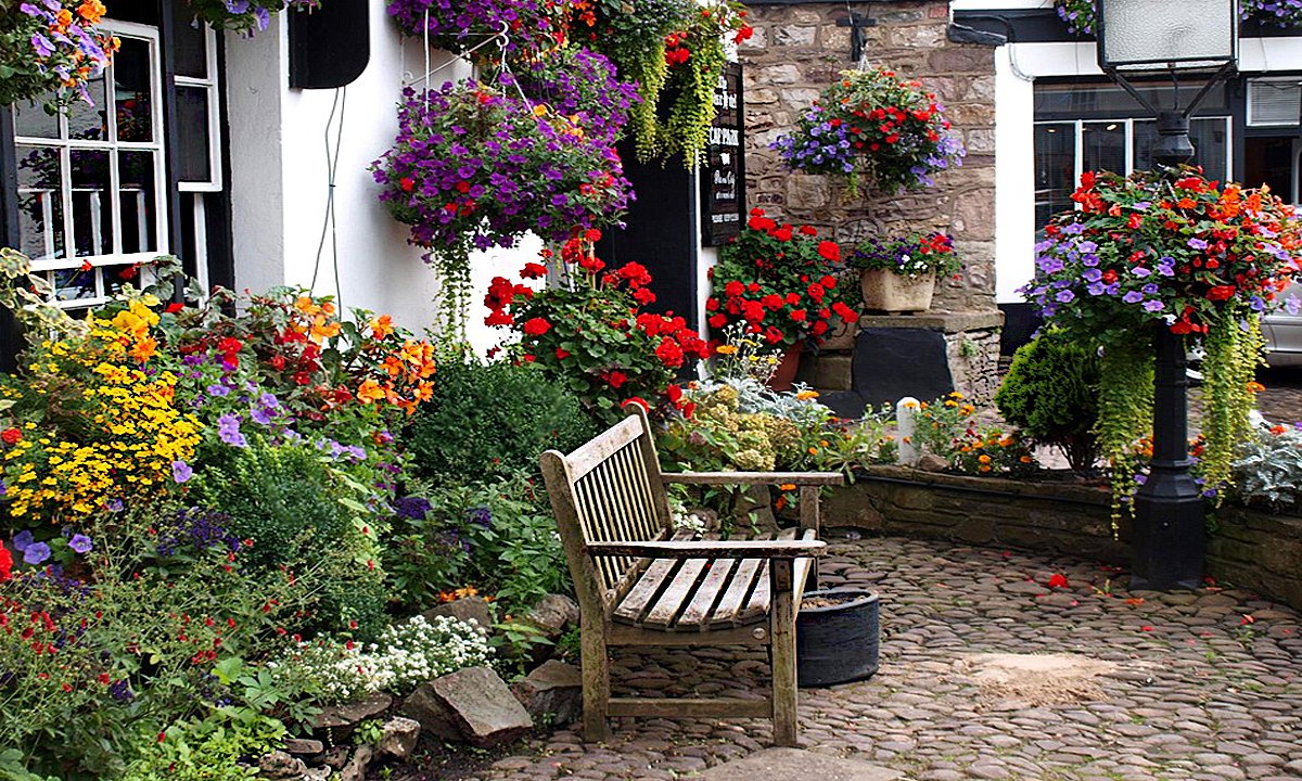 Двор в цветах