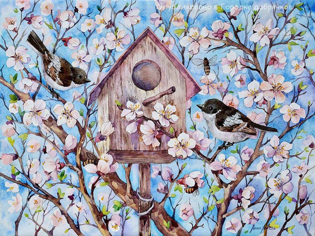 Нежность птиц