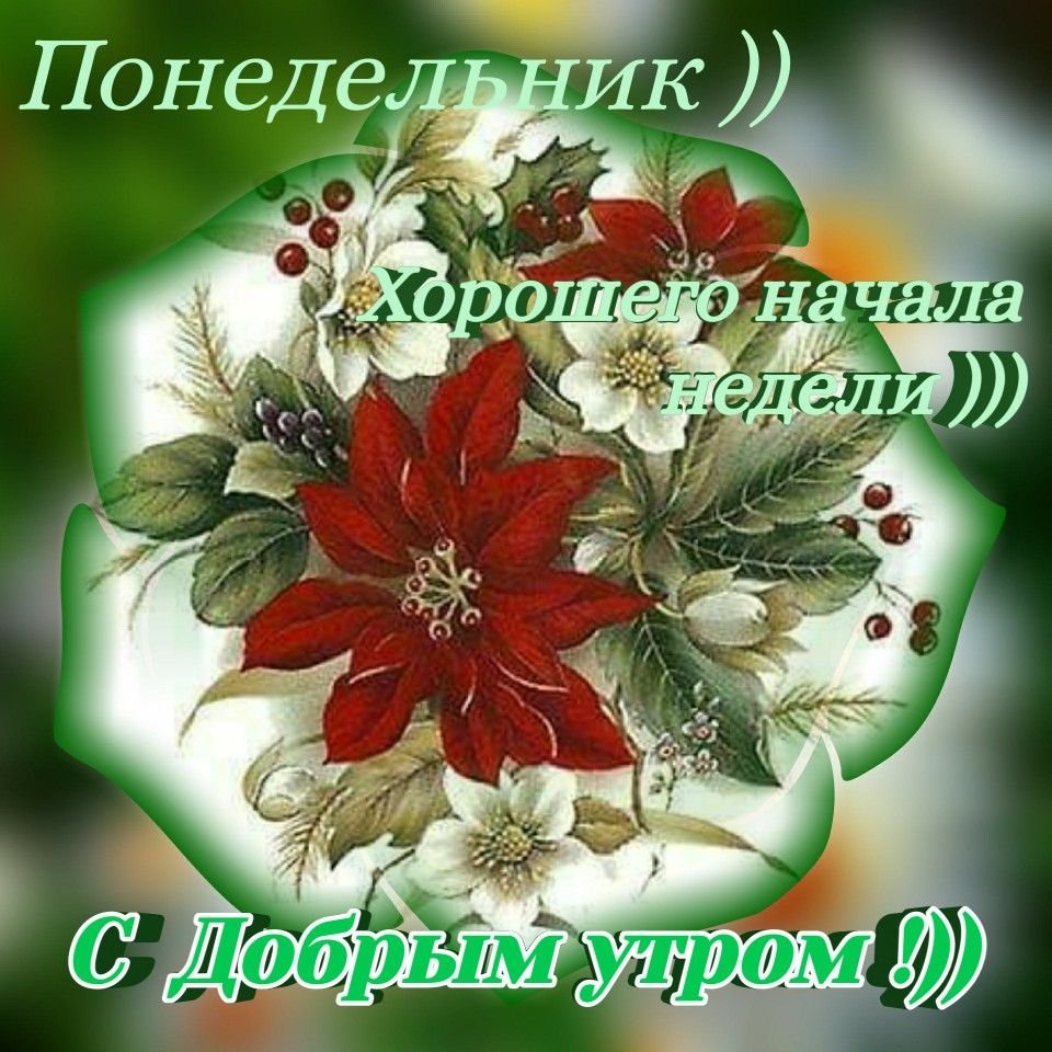 Доброе утро понедельника стильные