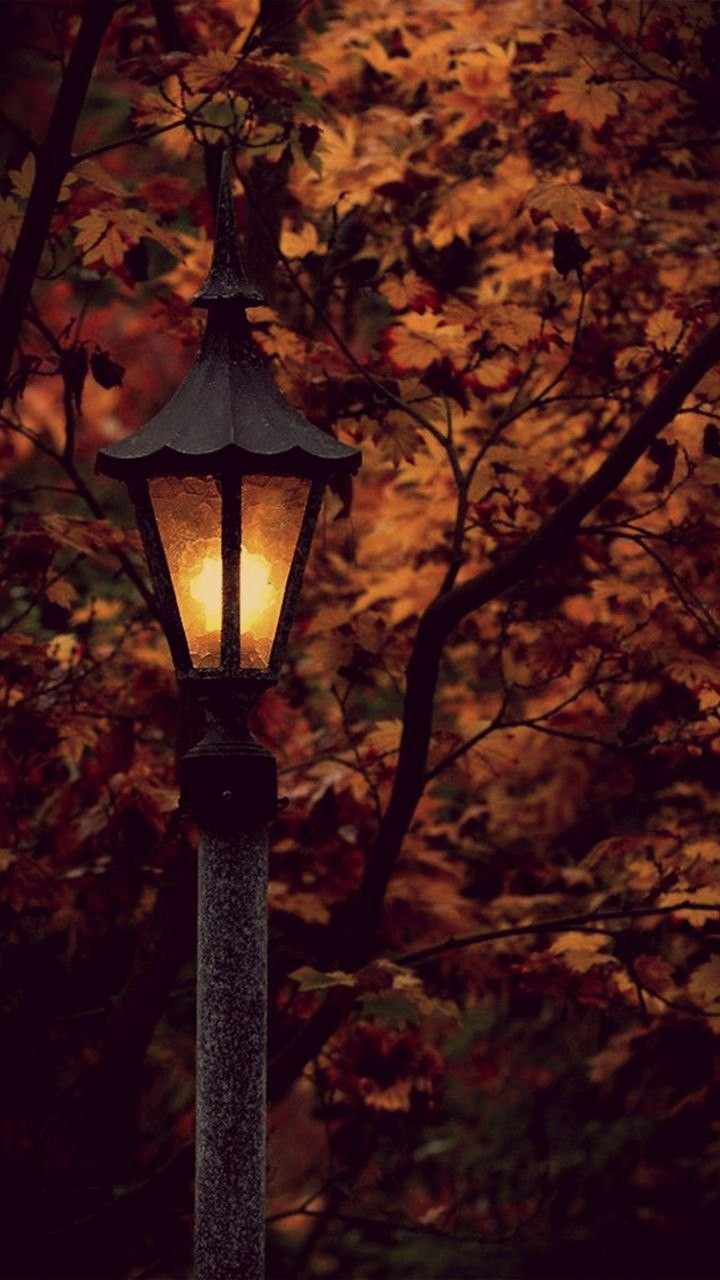Осень фонарь