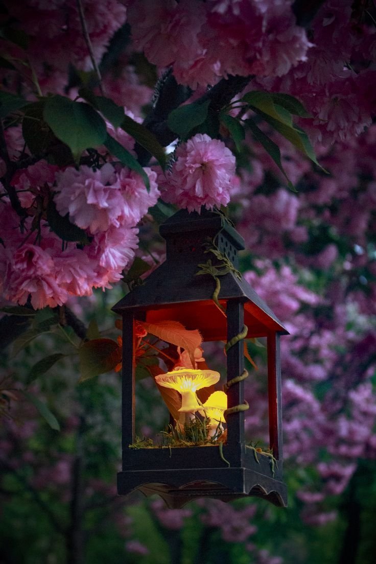 Красивые фонари