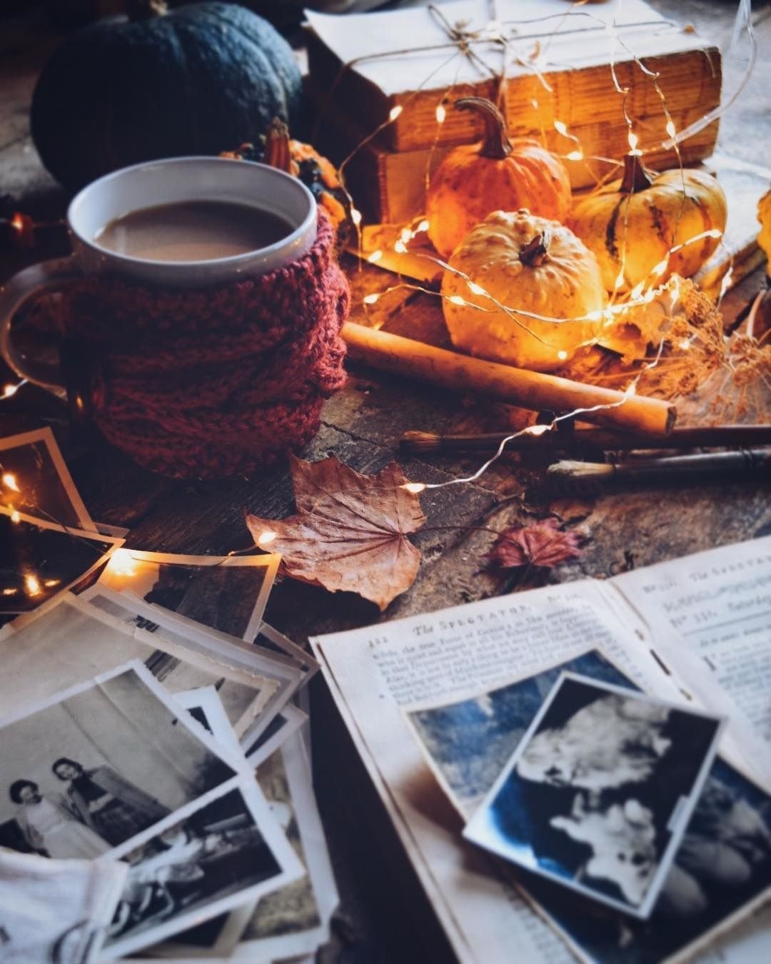 Вечерний чай цветы