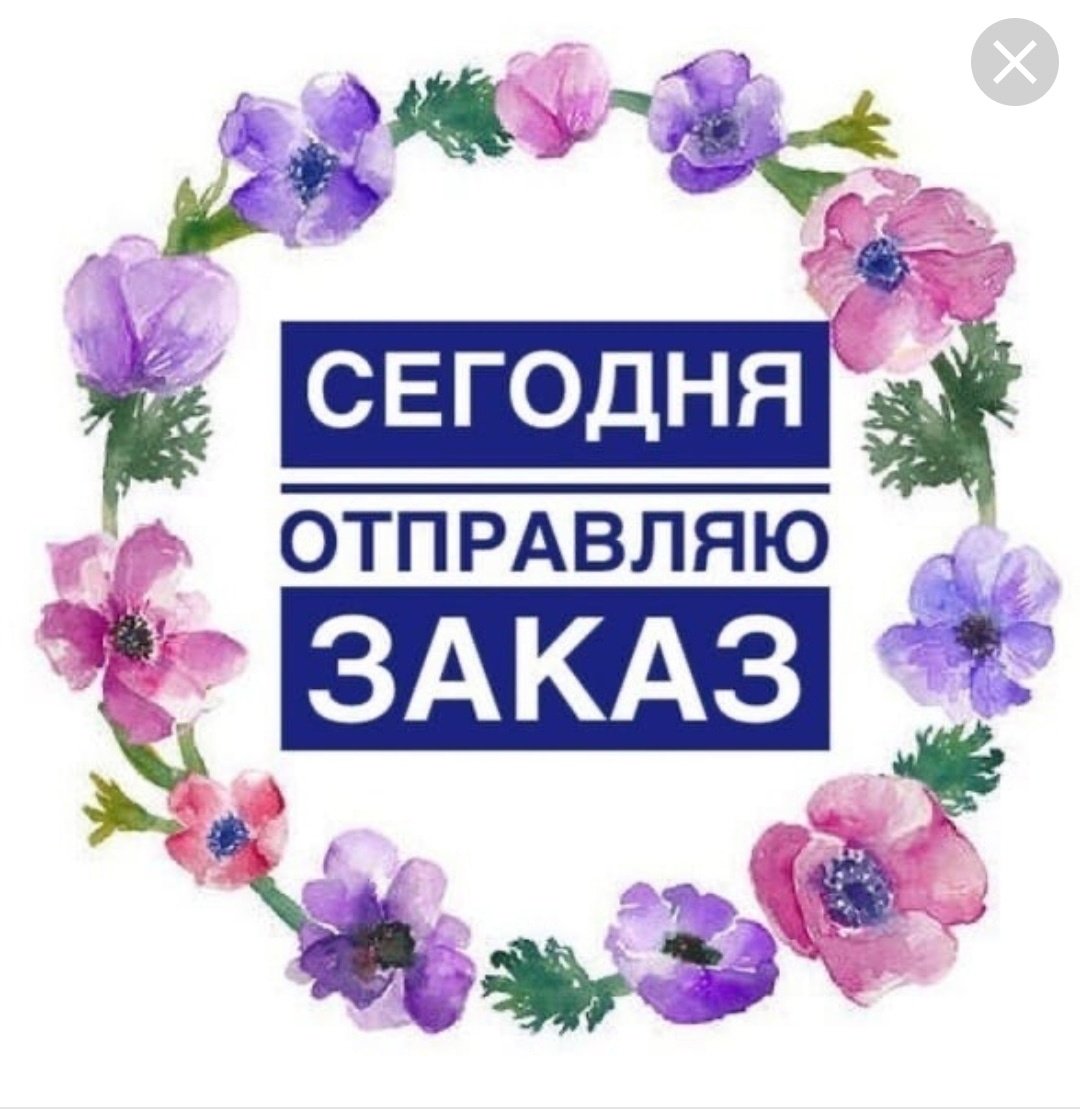 Сегодня Отправка заказа