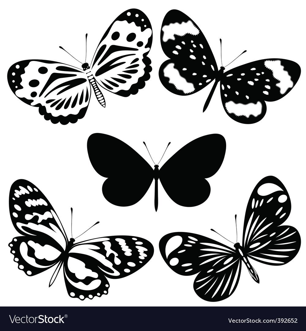 Бабочка вектор