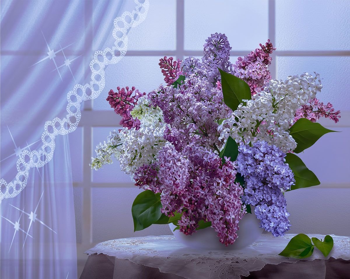 Лиловая сирень