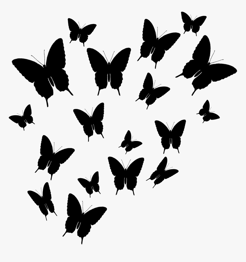 Силуэт бабочки